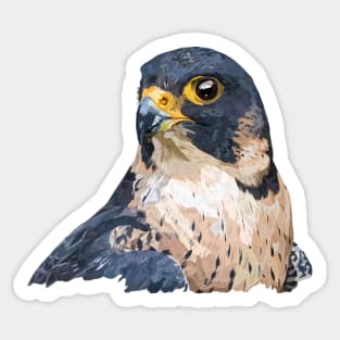 Peregrine falcon Sticker